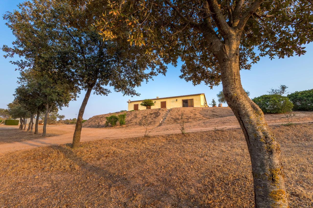 Molti Mari Olbia